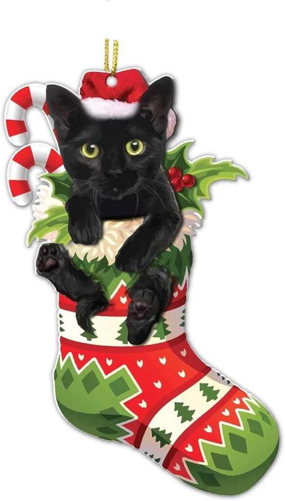 Black Cat Funny Acrylic Ornament Hilarious Cat with Sock Design Dark Humor Christmas